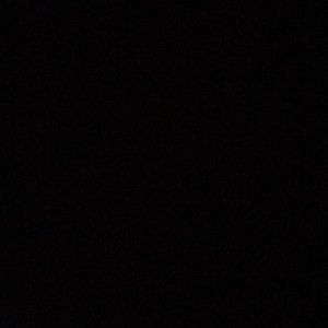 Meet your Posher, Lylah